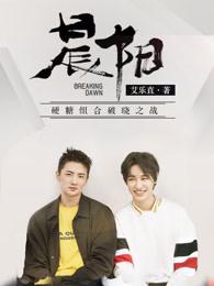 晨阳乳胶漆价格表