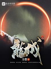 龙城的剧情简介
