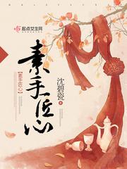 素手匠心全文免费