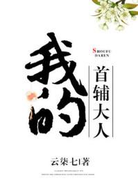 我的首辅大人好看吗
