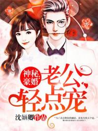 神秘老公慢点吻免费阅读