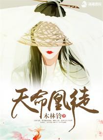 天命凰徒 木林铃主要讲什么