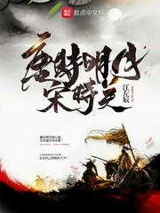 唐时明月宋时关苏宸身份