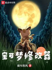 宝可梦修改器pekex怎么用
