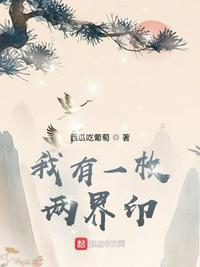 我有一枚两界印加料版本