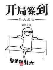 开局签到圣人果位类似的境界