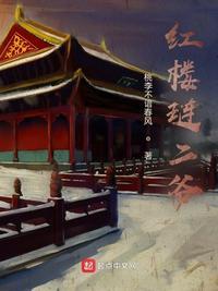 红楼琏二爷免费阅读