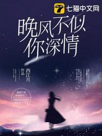 晚风不似你林清霜盛译行
