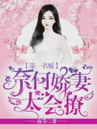 第一名媛盛莞莞慕斯