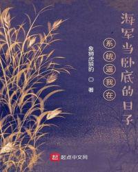 系统让我当兵王