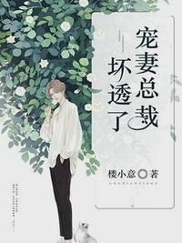 沐暖暖和慕霆枭免阅读全文