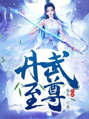 丹武至尊顽石全本免费阅读