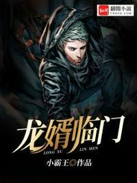 化龙赘婿沈迟短剧在线观看