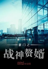 豪门战婿