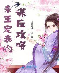 清朝亲王的妻妾等级