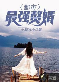 都市最强赘婿叶辰免费阅读全文