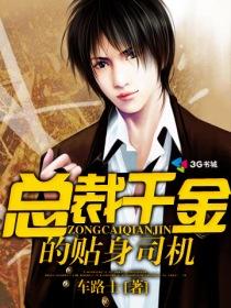 女总裁的贴身司机完整版