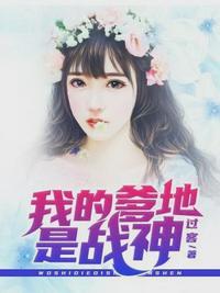 妖孽奶爸在都市全文