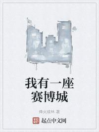 我有一个赛博坦垃圾场
