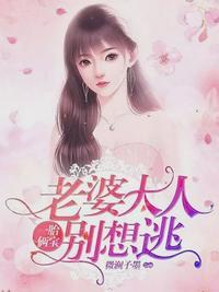 叶南弦沈蔓歌免费全文阅读32