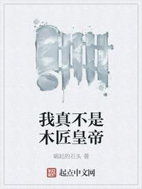 大明不可能这么富