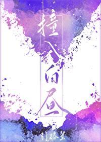 撞入白昼by引路星讲什么