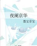 夜阑京华百度txt