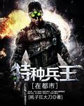 特种兵王在都市叶凡