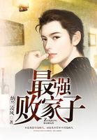 最强败家子游戏破解版