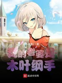我的老婆是木叶纲手免费观看