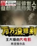 王大锤全集
