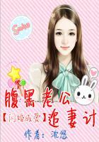 闪婚成爱腹黑老公追妻计 沈悠