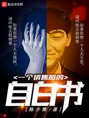 一个销售员的自白书 笔