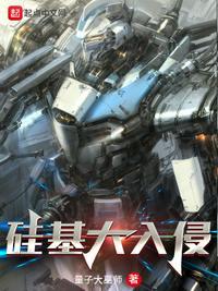 硅基公司