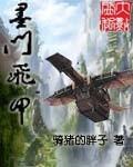 墨门飞甲TXT百度