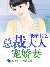 一纸婚书总裁别来无恙免费阅读