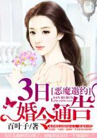 恶魔的邀请函汉化