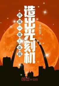 开局就造光刻机