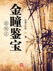 古玩之金瞳鉴宝txt