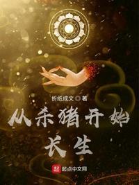 从杀猪开始修仙免费