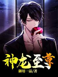 1神龙至尊
