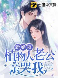 新婚丈夫变植物人