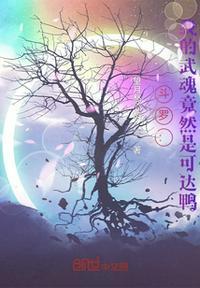 斗罗大陆之我的武魂是魂坏