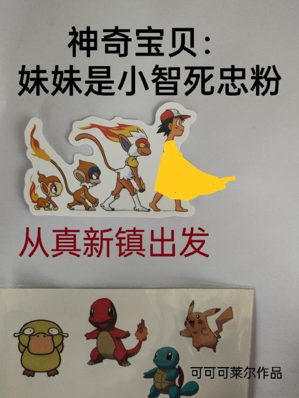 精灵宝可梦之小智妹妹与大吾恋爱