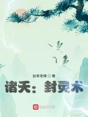 诸天从盗综开始叶吴求