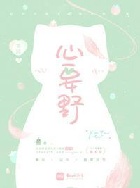 心要野是什么风格