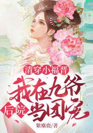清穿之九爷的侧福晋
