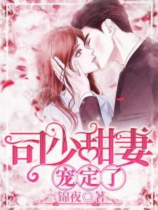 司少宠妻1314