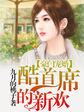 豪门盛婚酷总裁的独家溺爱免费阅读全文
