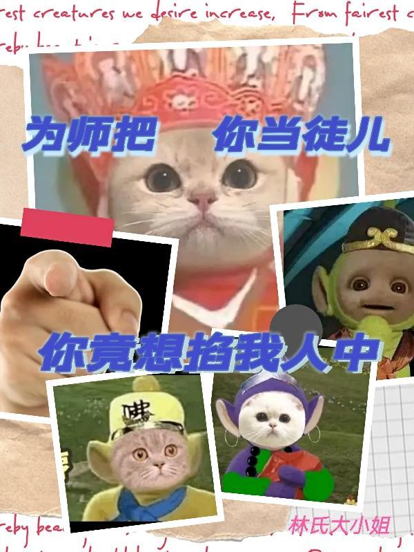 你却